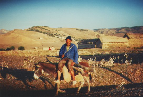 Bauer auf Esel in Marokko